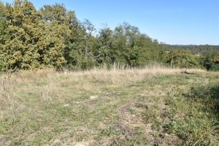 Vente Terrain Terrain agricole de 6 610 m² LUCQ DE BEARN (64) Lucq de bearn