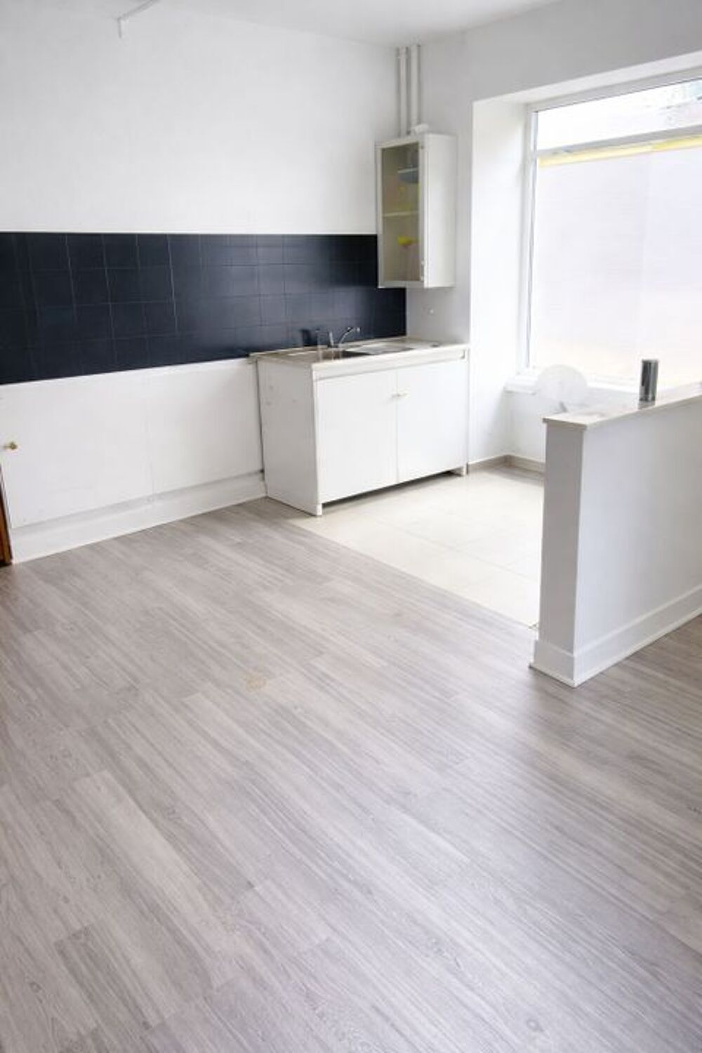 Location Appartement Appartement de 50m2 à louer sur Rive-de-Gier Rive de gier