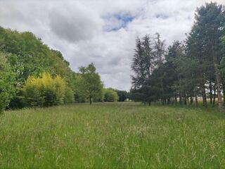  Terrain à vendre 100000 m²