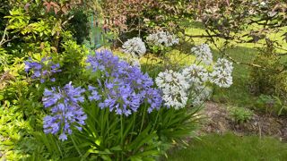  Maison � vendre 7 pi�ces 190 m�