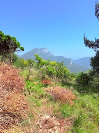  Terrain � vendre 1562 m�