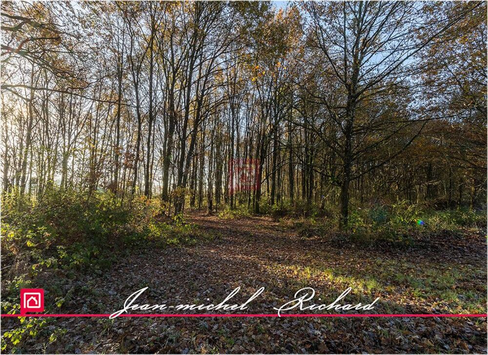 Vente Terrain Terrain Courmemin 166990 m2 Courmemin