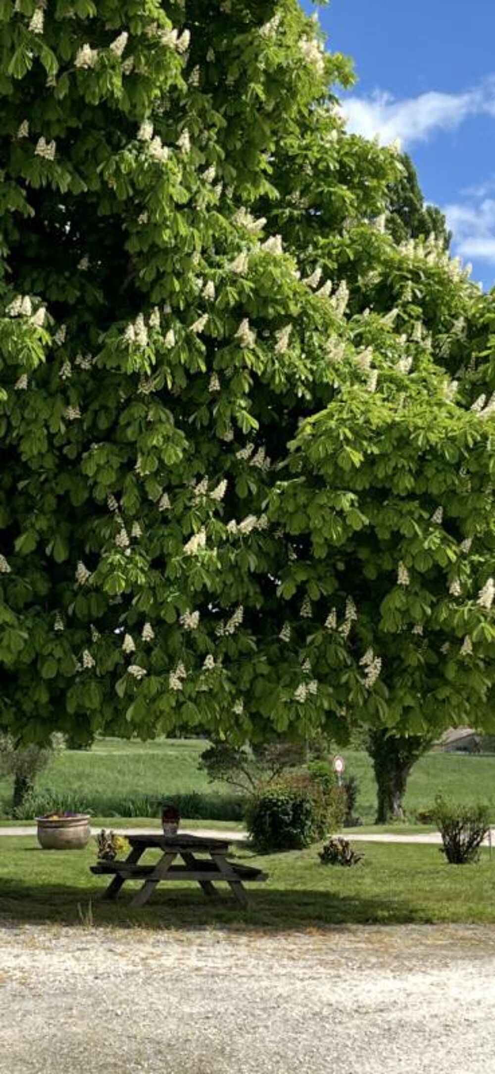 Propriété de caractère au coeur d'un environnement naturel préservé ? Fort potentiel d'aménagement