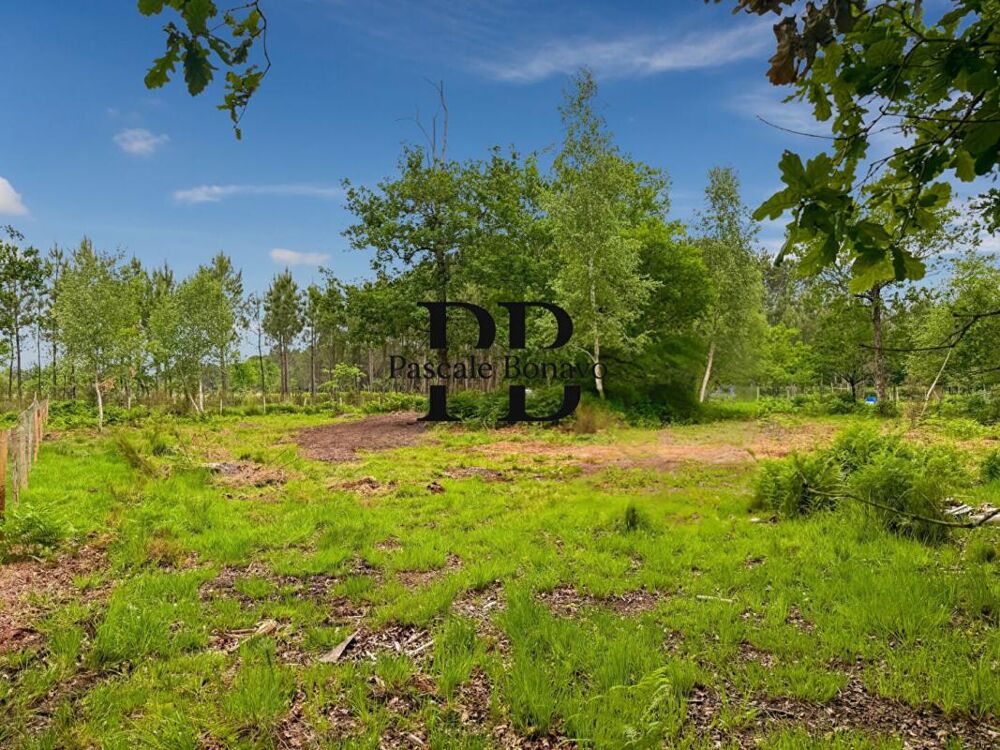 Vente Terrain VENDAYS MONTALIVET - Terrain 2327m2 avec Hangar agricole Vendays montalivet