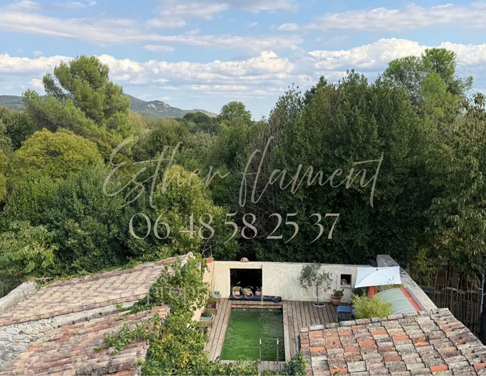 Vente Maison Maison de ville 226 m2 avec jardin, piscine, forage, garage Saint hippolyte du fort