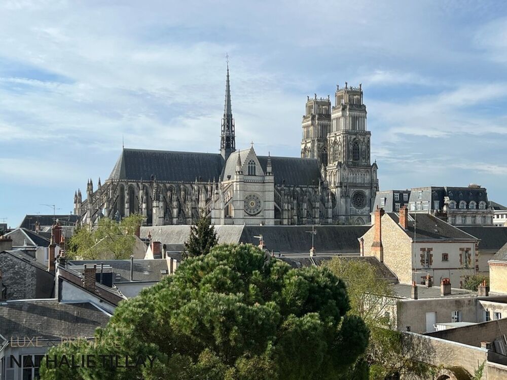 Orleans, appartement Loft duplex de 130 m² à vendre, ascenseur, garage,Vue cathédrale exceptionnelle
