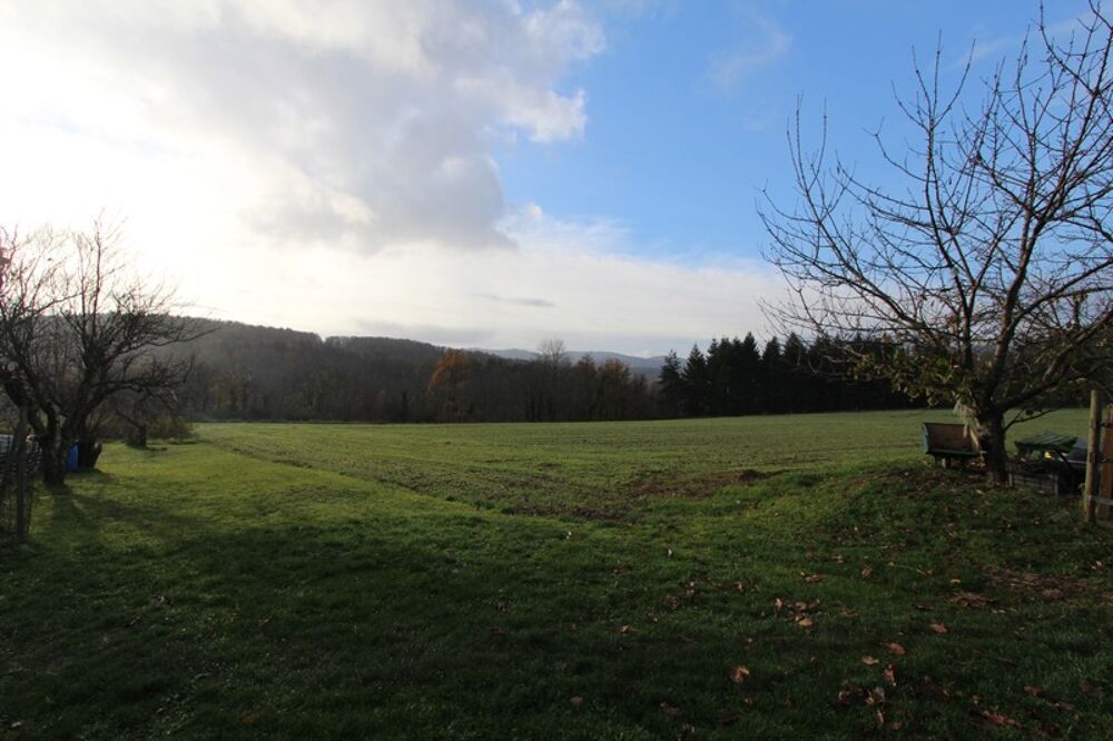 � vendre  Propri�t�/ch�teau Vernoux-en-Vivarais (07240)