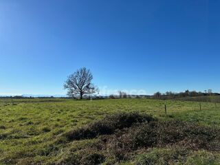  Terrain à vendre 4403 m²