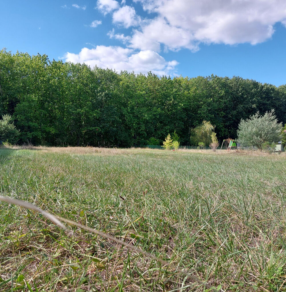 Vente Terrain Terrain à vendre de 1 032,00 m² MONTAUBAN (82) secteur Saint Martial Montauban