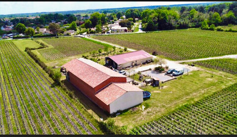 Château  720 m2 795000 33250 Cissac medoc