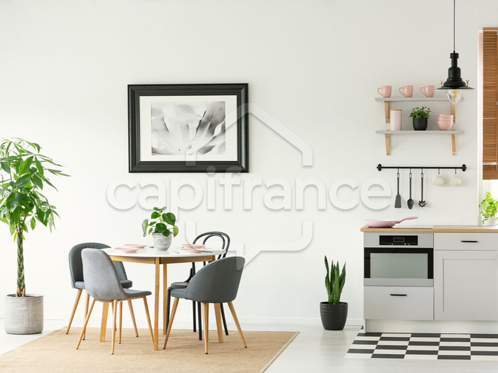 Vente Appartement Dpt Corse (20),  vendre SAN NICOLAO appartement T2 de 38,7 m - Terrasse de 8,10m San nicolao