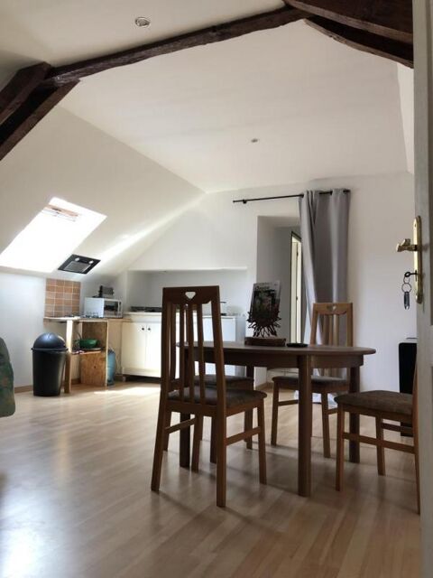   Studio de 46m2  louer sur Chalonnes sur Loire Appartement - 1 pice(s) - 46 m