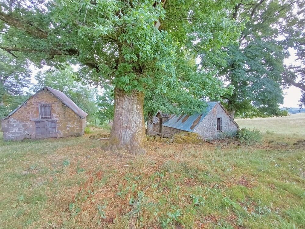 Exceptionnel ! Propriété de 36 hectares avec buron Proche de Salers