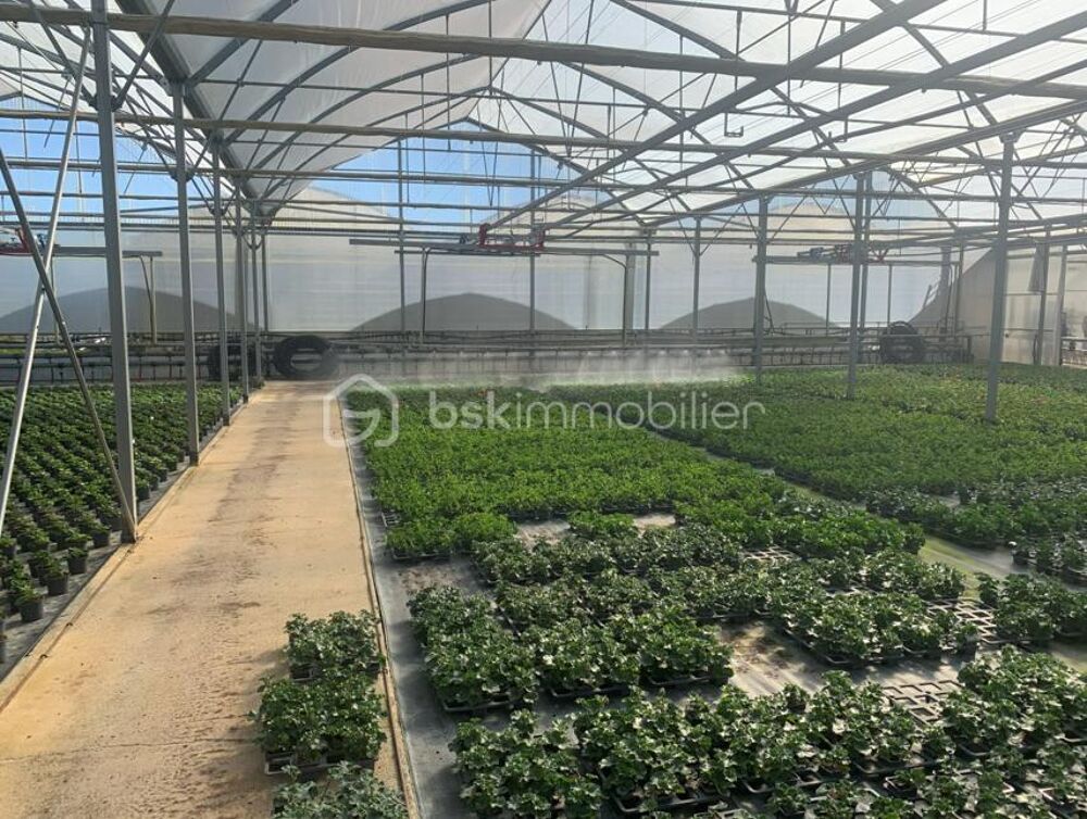 Vente Propriété/Château Proche Nogaro - Propriété Horticole de 3ha avec habitation Nogaro