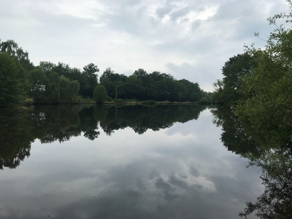 Vente Terrain Etang de pêche sur terrain de plus de 2 hectares Lanouaille