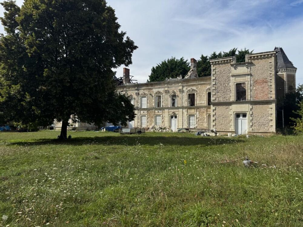 Château de Penchien  Domaine de caractère à réinventer, fort potentiel événementiel et touristique  Mansigné (Sarthe)