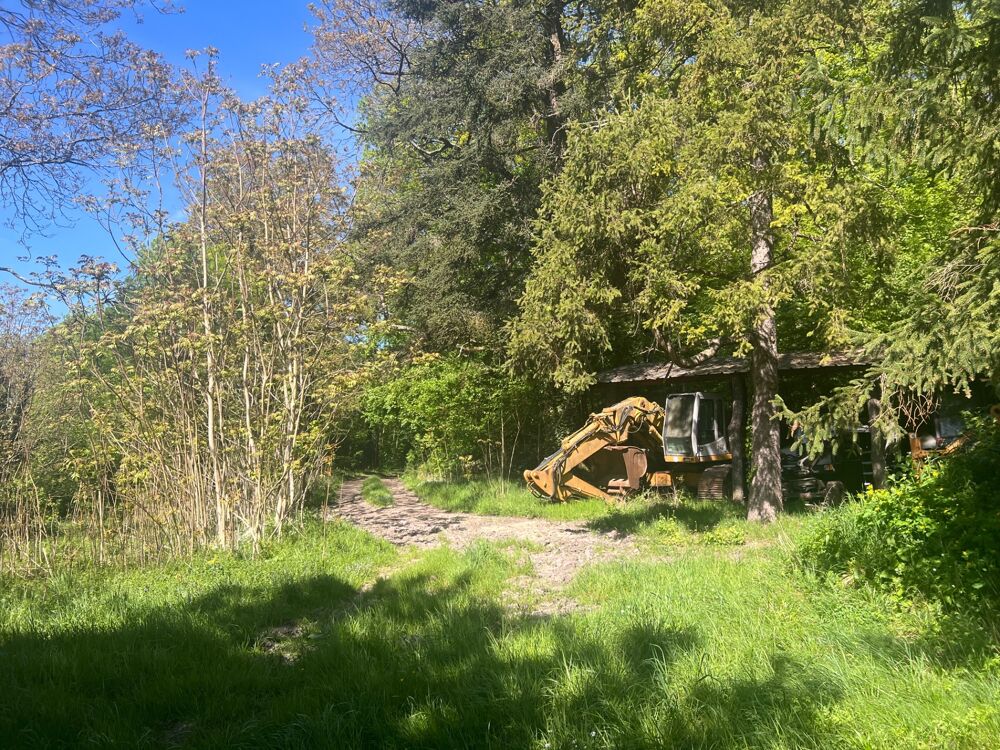 à vendre  Propriété/château Saint-Ouen-les-Vignes (37530)