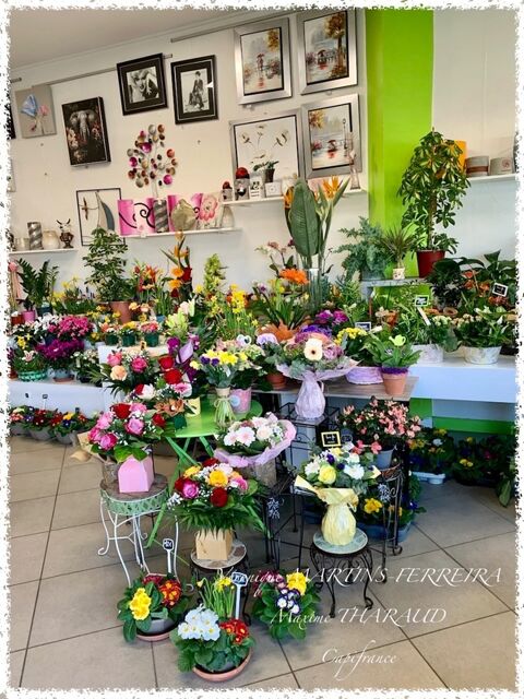 Fonds de commerce à vendre MEHUN SUR YEVRE (18) 84000 18500 Mehun sur yevre