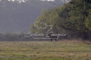  Propri�t�/ch�teau � vendre 15 + pi�ces 800 m�