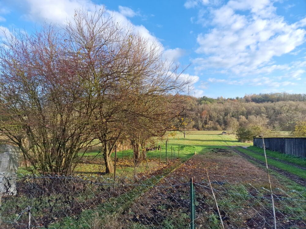Dpt Vosges (88), à vendre secteur MIRECOURT Jolie MAISON T4 Plain-pied avec GARAGE / TERRAIN de 1150 m2