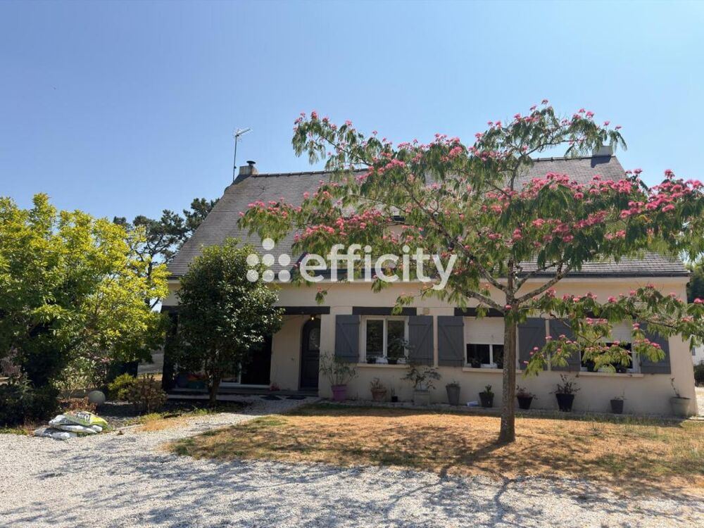 Vente Maison Maison Saint molf