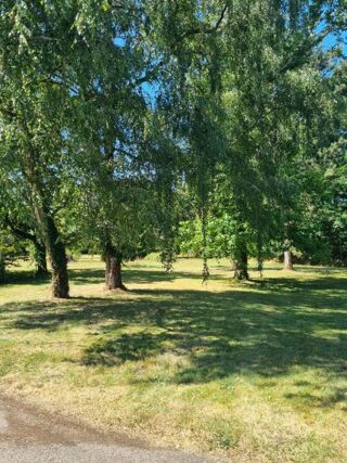  Propriété/château à vendre 9 pièces 316 m²