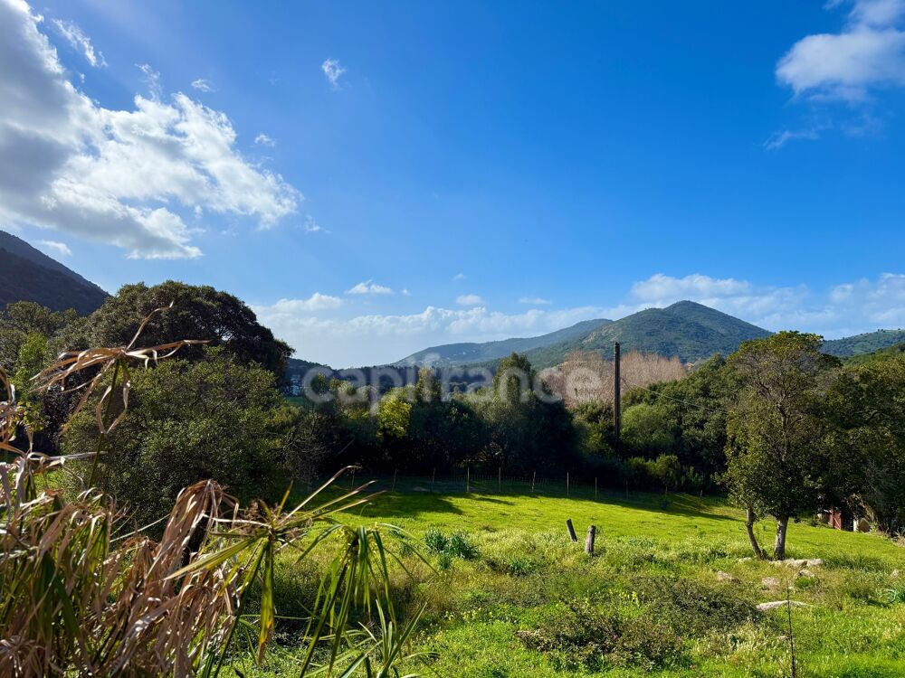 Vente Propriété/Château SAGONE (Corse) : Propriete à vendre, maison T4 + dépendance avec 2 appartements T1, sur terrain plat de 5000m2 Sagone