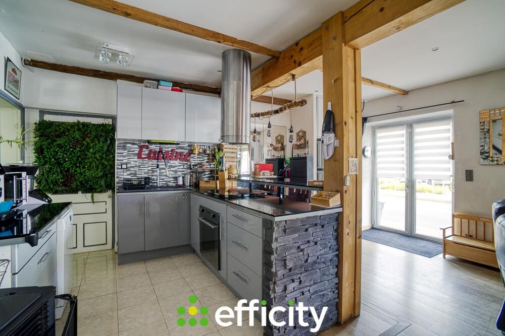 Vente Appartement Appartement rénové Ternand