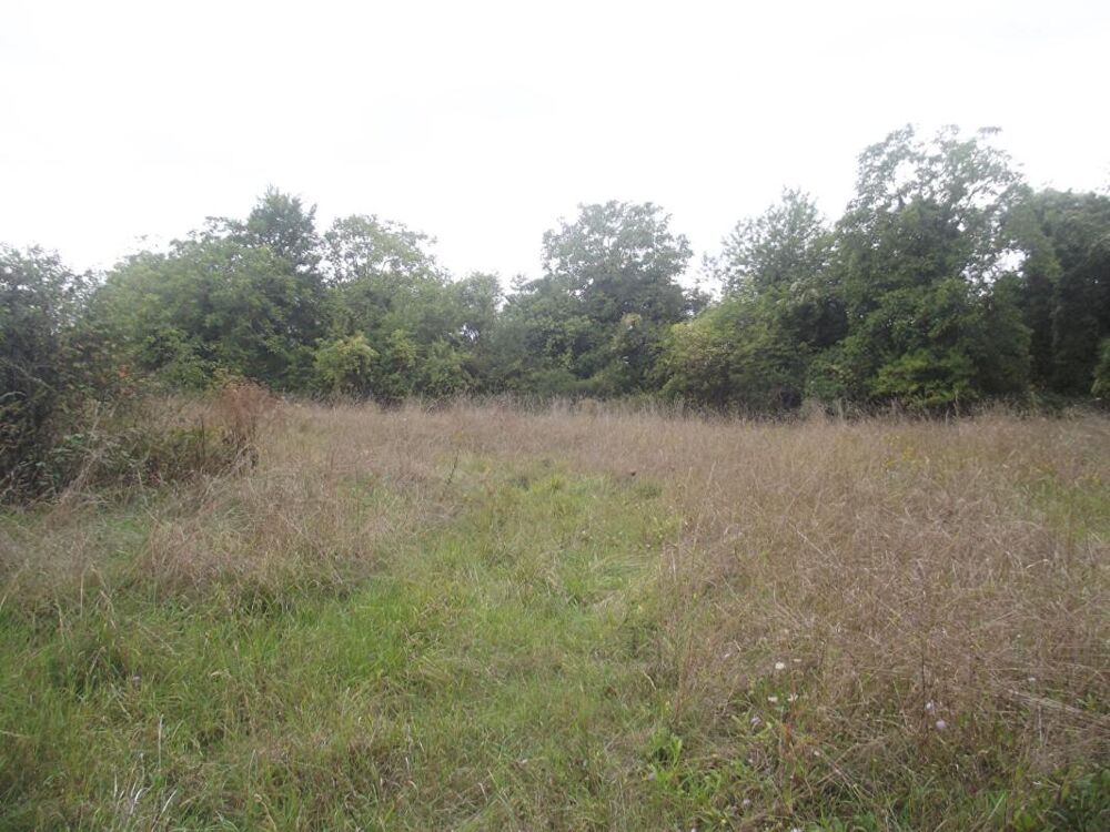 Vente Terrain Terrain Constructible Chavanges