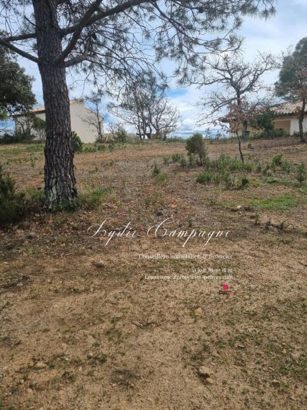 Vente Terrain Terrain  constructible et viabilis Saint Andre De Roquelongue 1095 m2 Saint andre de roquelongue