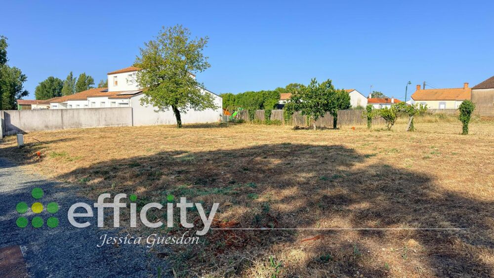 Vente Terrain Terrain Soullans
