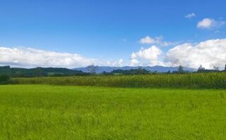  Terrain � vendre 11000 m�