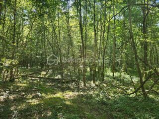  Terrain � vendre 107573 m�