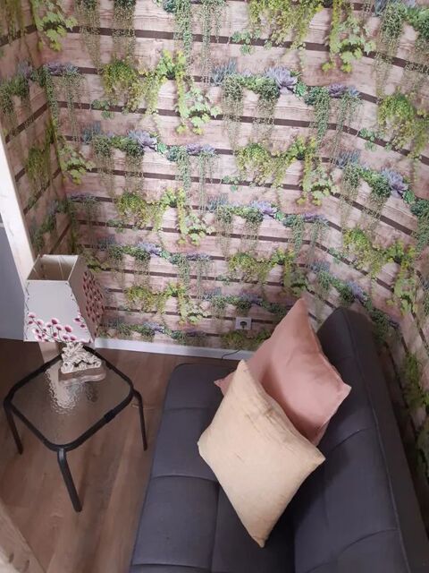  Appartement � louer 1 pi�ce 12 m�