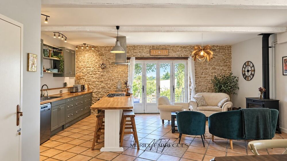 Vente Maison Maison chaleureuse,  pierre apparente avec gite et piscine chauffée, 11420 Pech Luna Pech luna