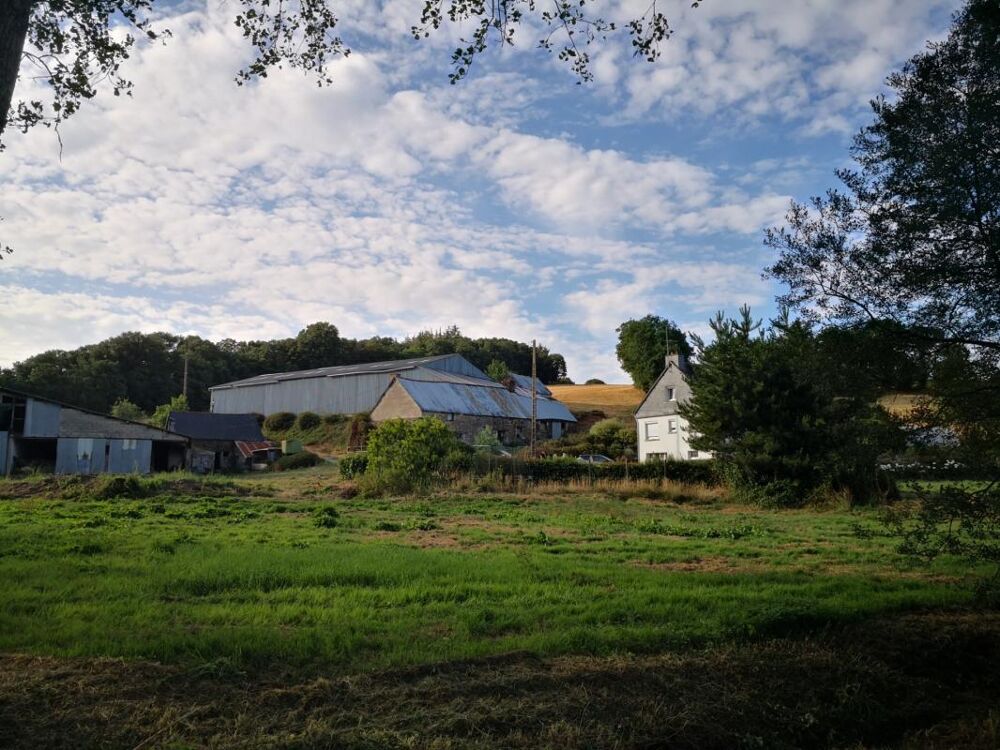 Découvrez ce joli corps de ferme isolé offrant un cadre exceptionnel et un potentiel rare, implanté sur 7,5 hectares de terrains