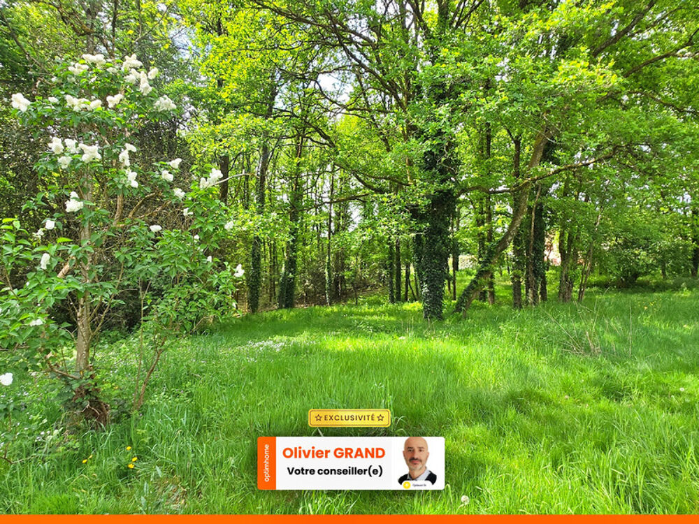 Vente Terrain Terrain 6 365,00 m² SAINT JUNIEN (87) - Environnement campagne Saint junien