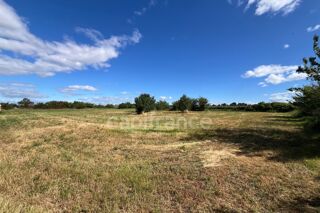  Terrain à vendre 12000 m²
