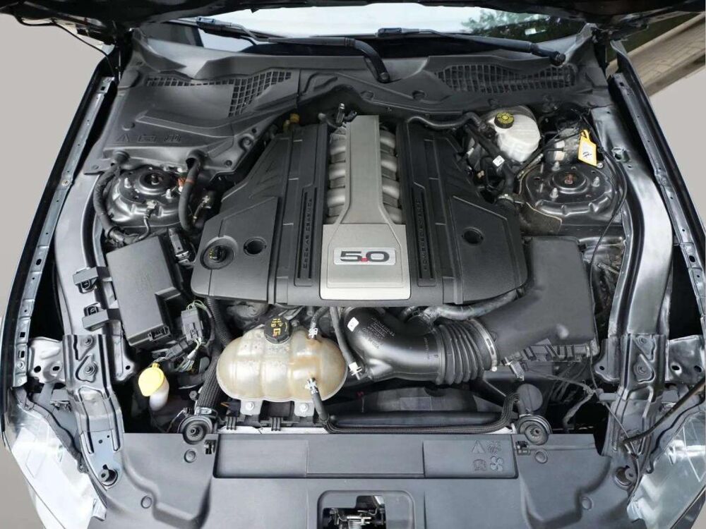 Mustang 5.0 V8 • GT 421ch Ti VCT 2019 occasion 33600 Pessac
