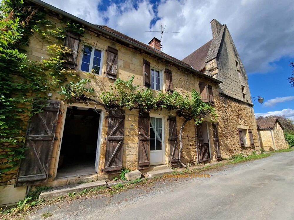 Vente Maison 24290 Sergeac : Ensemble immobilier en pierre du pays Sergeac