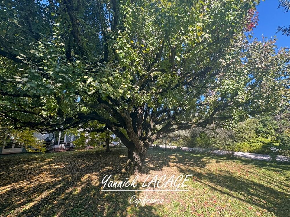 � vendre  Maison Saint-Zacharie (83640)