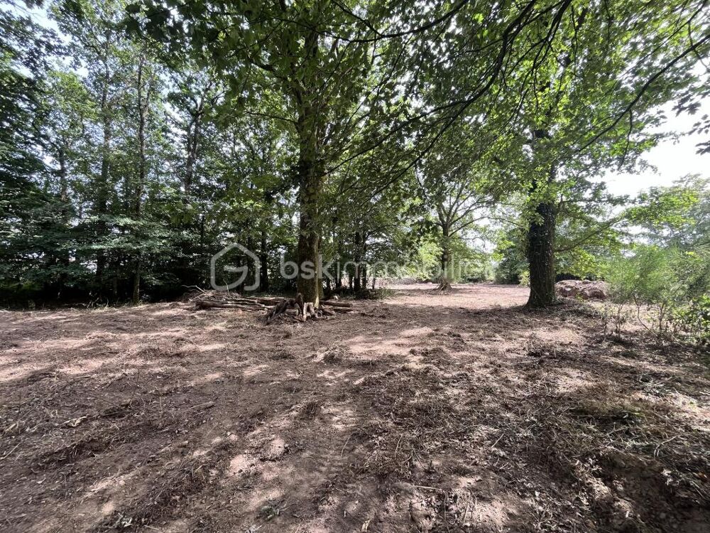 Vente Terrain TERRAIN DE LOISIRS DE 5 995 m² Les brouzils