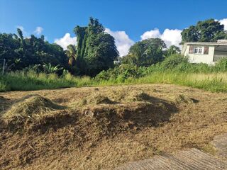  Terrain � vendre 517 m�