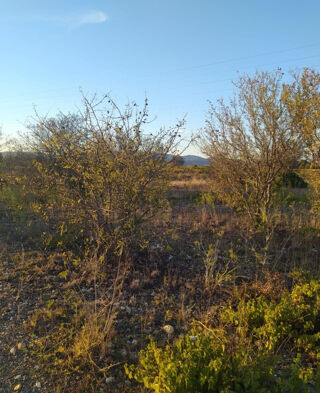  Terrain � vendre 1995 m�