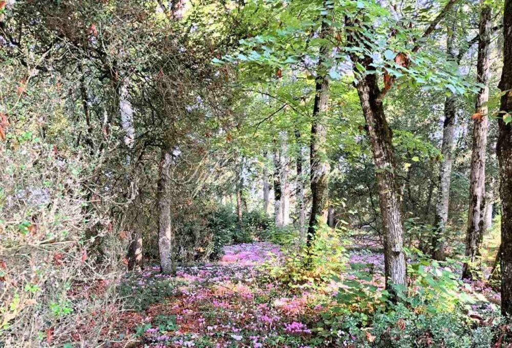 à vendre  Propriété/château Tours (37000)