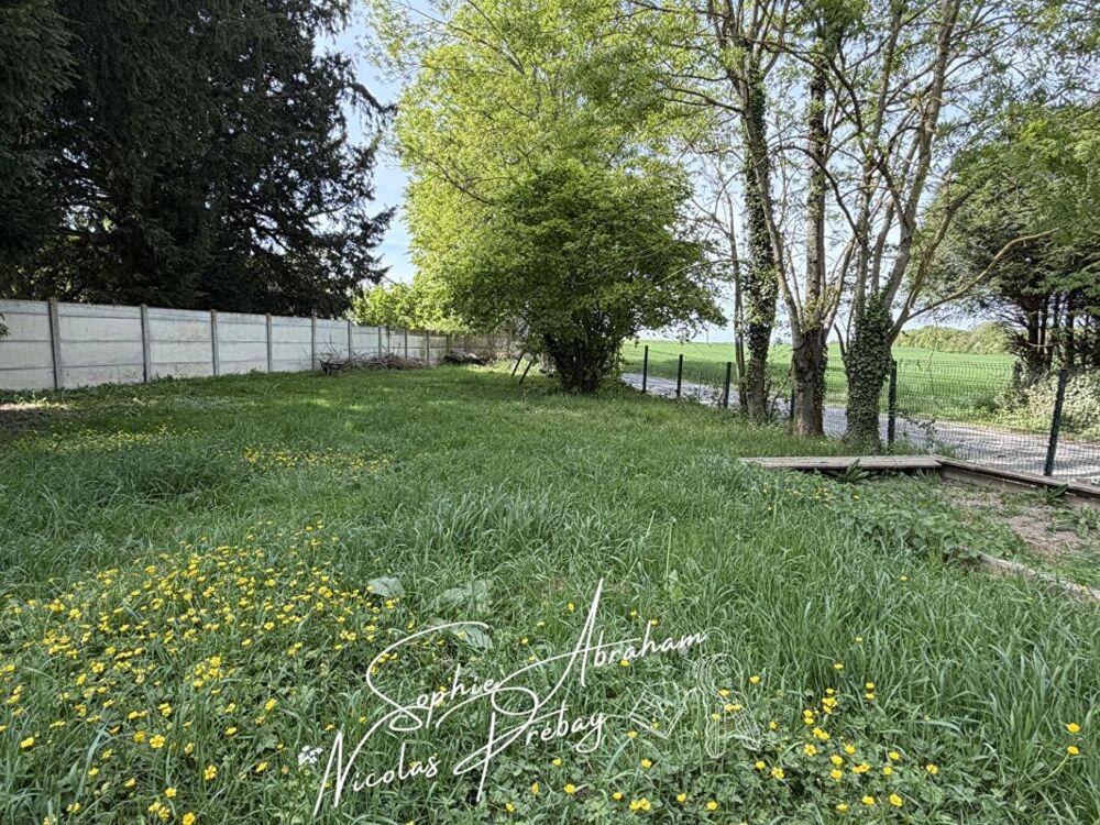 Maison individuelle avec garage et jardin arboré