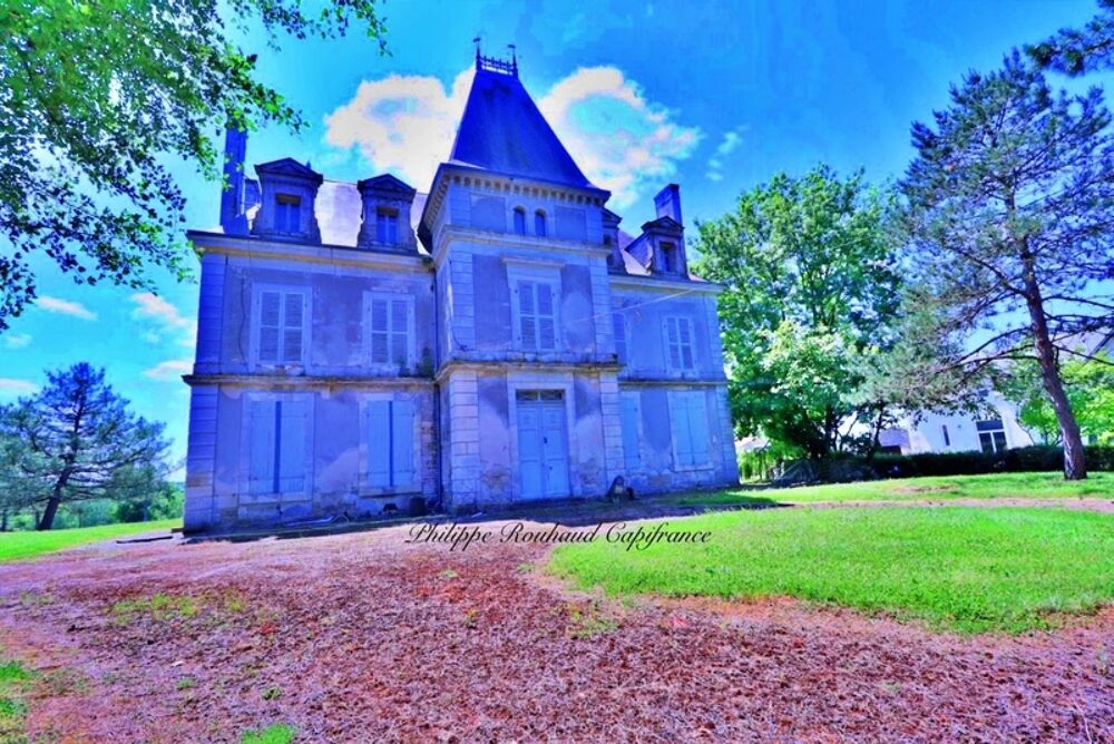 Château du XVII? siècle à vendre, 17 pièces, FOUSSAIS PAYRE (85)