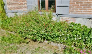  Maison � vendre 7 pi�ces 184 m�