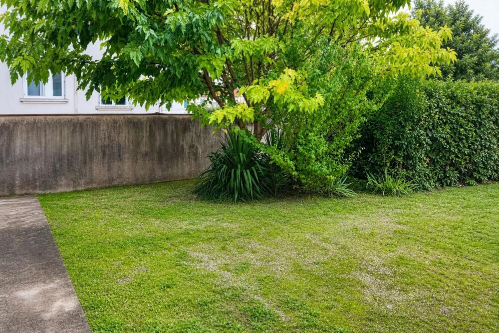 Maison semi-indépendante 140 m²  Idéal investissement locatif