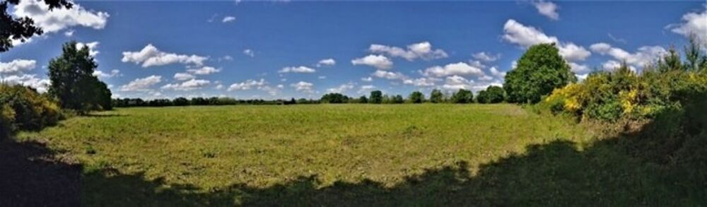 Vente Terrain Terrain agricole plat d'un seul tenant de 11,93 hectares Mont de marsan